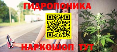apvp Гай