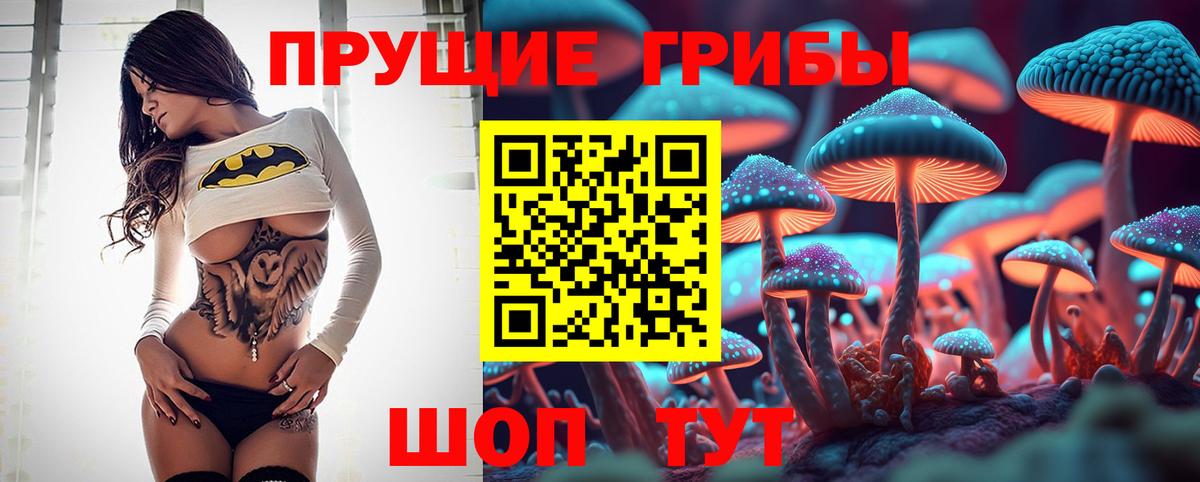 наркошоп  Вход с VPN  Подольск  Галлюциногенные грибы мухоморы  Псилоцибиновые грибы Psilocybe 